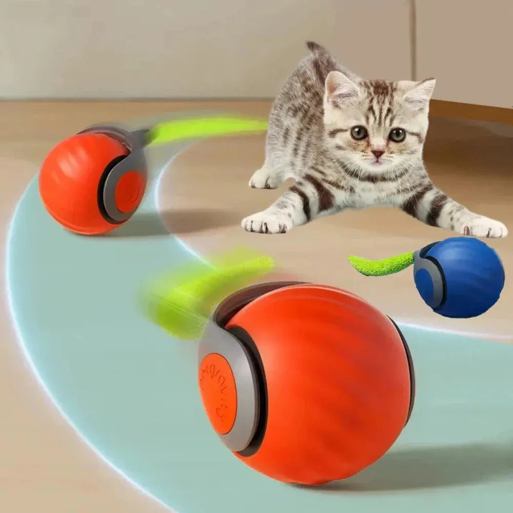 Engaging Interactive Cat Toy Ball - Perfect for Indoor & Outdoor Fun!