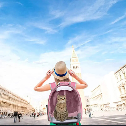 Pet Carrier Backpack with Transparent Window – Space Capsule Design for Cats and Small Dogs
